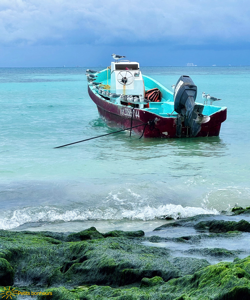 Un bonheur, les orteils dans le sable à Playa del Carmen!